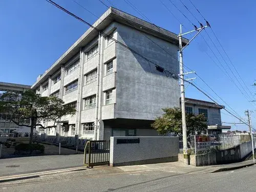 Slide 6