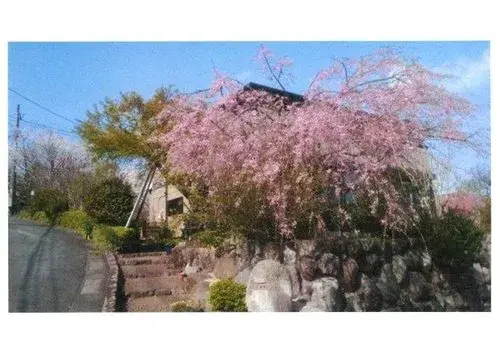Slide 13