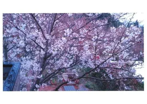 Slide 14