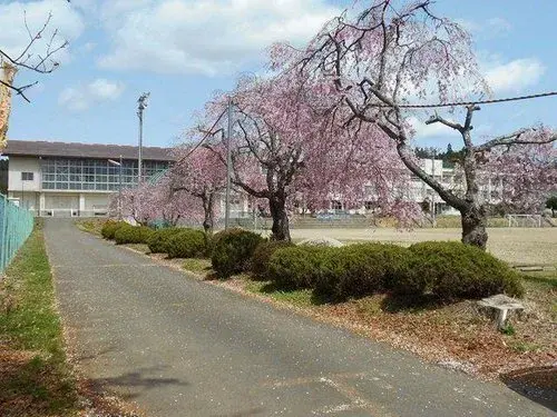 Объект 3LDK, город Sendai, префектура Miyagi (20)