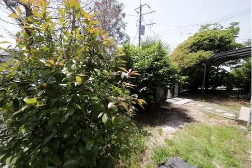 Propriété 4LDK Ville de Toride Préfecture d'Ibaraki (8)