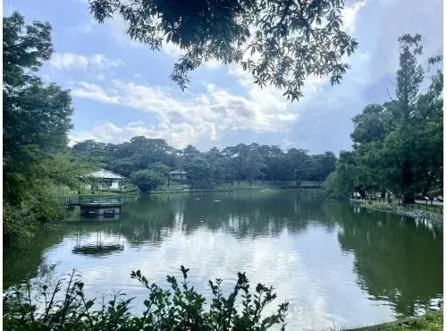 4LDK 埼玉市 埼玉县 (20)