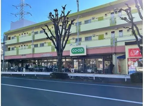 Property with 15+ Tatami LDK and 2 Stories Kunitachi City Tokyo (6)