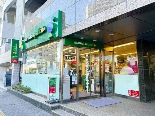 [2LDK+S Property] Taito-ku Tokyo (20)