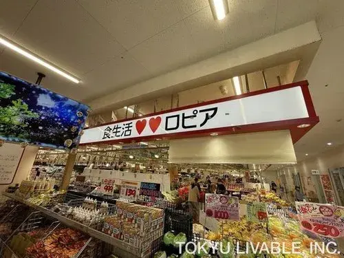 Propiedad 4LDK Ciudad de Kodaira Tokio (16)
