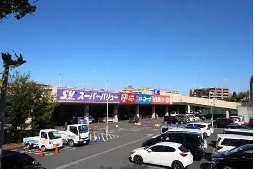 3LDK Property Hachioji City Tokyo (12)
