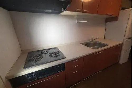 7DKK Property Bunkyo-ku Tokyo (16)
