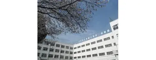 7DKK Property Bunkyo-ku Tokyo (22)