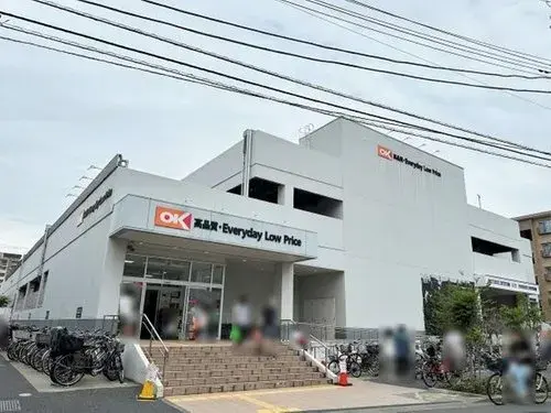 4DK Property Koto Ward, Tokyo (15)