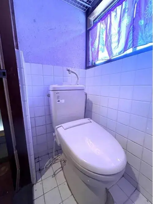 7DK Bien immobilier Ville de Tainai Préfecture de Niigata (13)