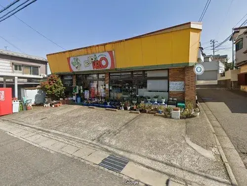 Bien immobilier 11DK Ville de Niigata Préfecture de Niigata (16)