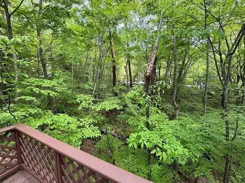 3LDK Property, Karuizawa Town, Nagano Prefecture (19)