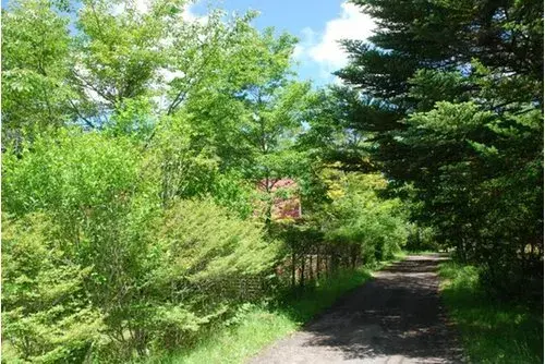 1LDK Property Kitasaku-gun Karuizawa-machi Nagano Prefecture (15)