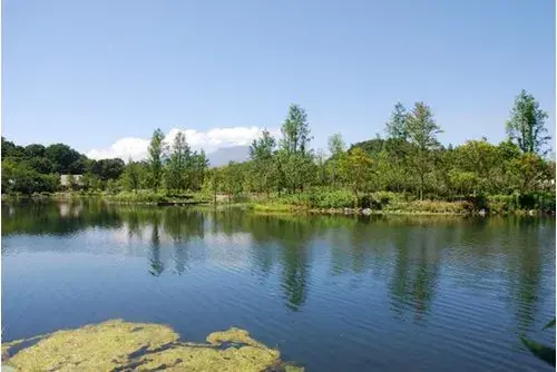 1LDK Property Kitasaku-gun Karuizawa-machi Nagano Prefecture (18)