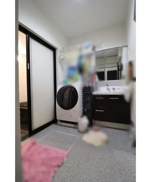 静岡県静岡市4LDK物件 (9)