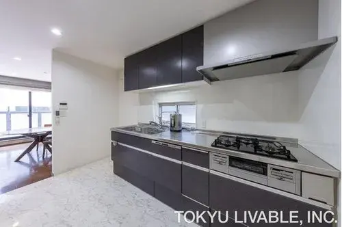 3LDK Nagoya City Aichi Prefecture (17)
