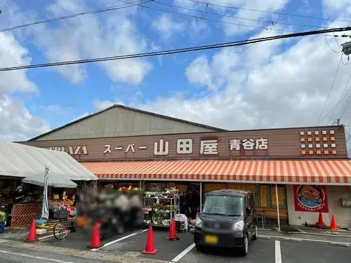 6LDDKK+S Joyo City Kyoto Property (17)