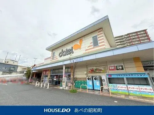 5LDK property Osaka City Osaka Prefecture (3)