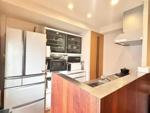 3LDK Property Osaka City Osaka Prefecture (19)