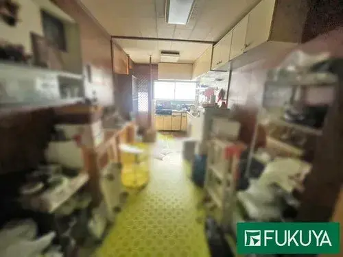 4LDK Property Osaka City Osaka Prefecture (11)