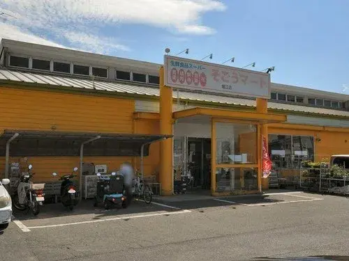5LDK Property Matsuyama City Ehime Prefecture (18)