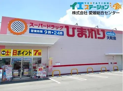 4DK Property Saijo City Ehime Prefecture (20)