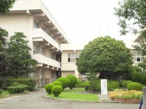 Slide 6