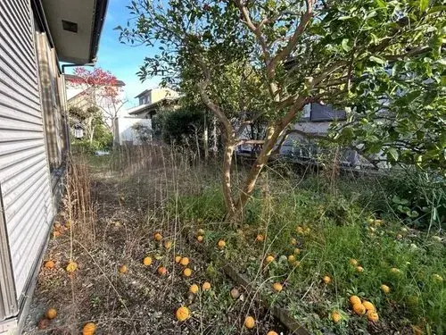 3LDK Property Oita City Oita Prefecture (5)