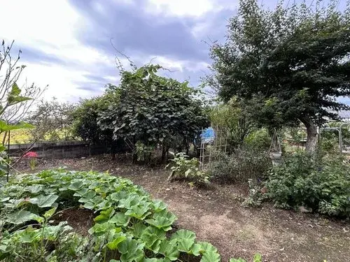 Single-family Home Usa City Oita Prefecture (5)