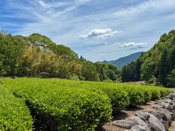 Mie Prefecture Matsusaka City Detached House Property (34)