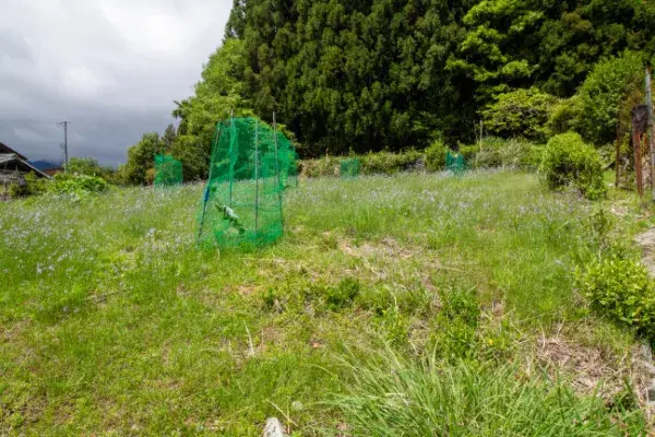 Mie Prefecture Matsusaka City Detached House Property (36)
