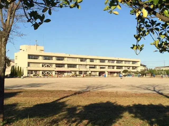 Slide 8