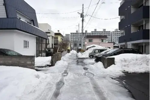 4LDK Property Sapporo City Hokkaido (6)