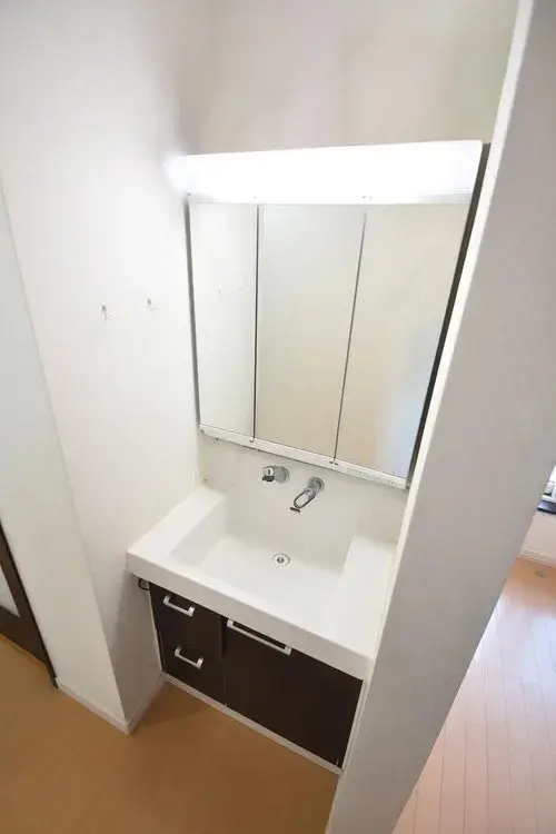 4LLDDKK Sapporo City Hokkaido (19)