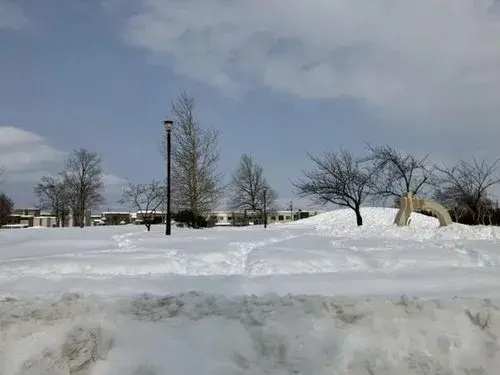 Akiya in Sapporo