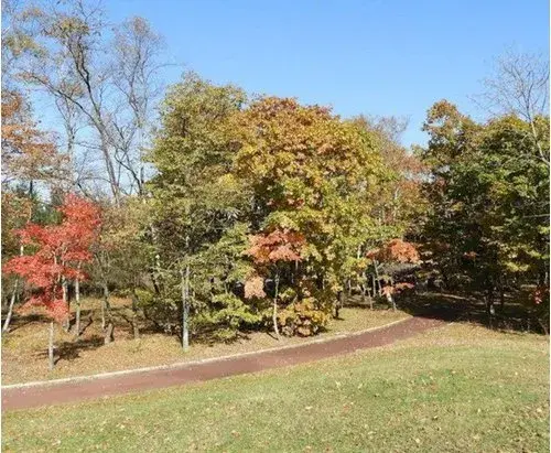 2LDK Chitose City Hokkaido (5)