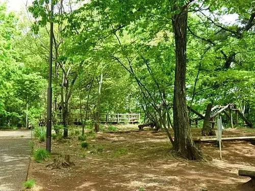 3LDK物件 所沢市 埼玉県 (13)