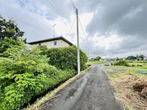 Slide 4