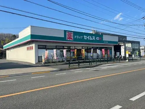 3LDK+S Hachioji City Tokyo (10)