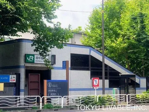 Tokyo Koto-ku 4LDK Недвижимость (14)