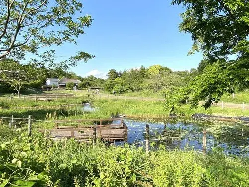 3K Property Tachikawa City Tokyo (20)