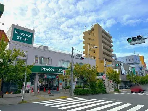 3LDK Property Setagaya-ku Tokyo (18)