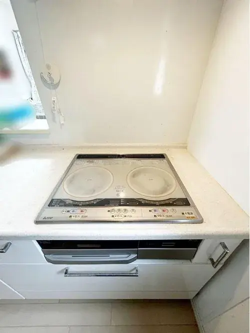 4LDK Property in Yokohama City, Kanagawa (9)