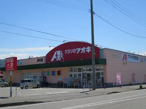 Propriété 6K+S Ville de Tainai Préfecture de Niigata (13)