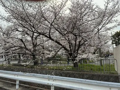 Propiedad 5LDK+2S Ciudad de Kyoto Prefectura de Kyoto (23)