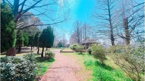 5DK Property Hirakata City Osaka Prefecture (8)