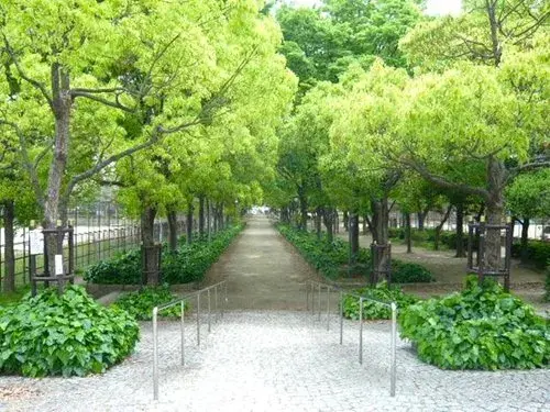 3DK Osaka City Osaka Prefecture (6)