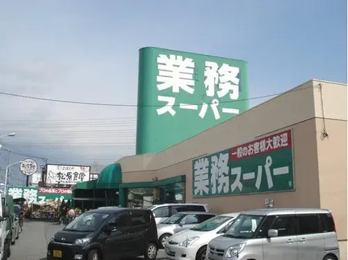 4LDK住宅 松原市 大阪府 (19)