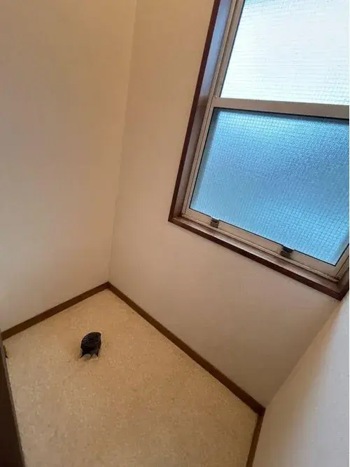 3LDK Property Tsuyama City Okayama Prefecture (16)