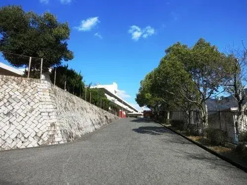 Slide 5